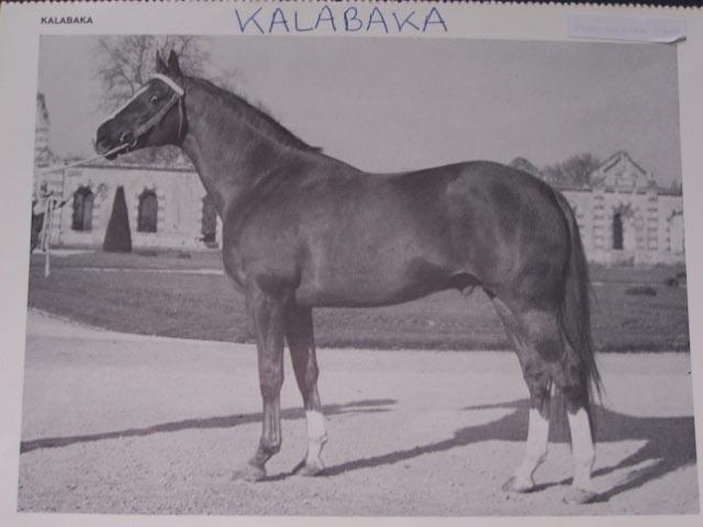 Kalabaka