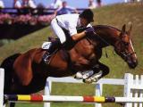 Horse_Quabri_de_Laleu-big.jpg