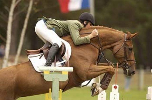 Horse_Baladine_du_Mesnil-big.jpg