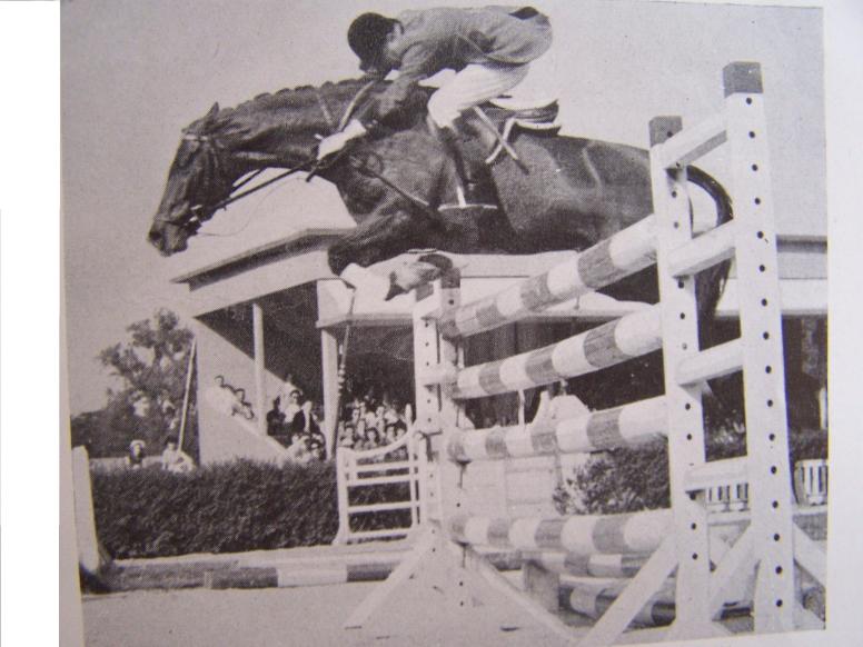 Jument AA CSIO, exportée en Turquie, concourra à deux olympiades. "Malgré sa petite taille (1m54), Brune et d'Or (par Farceur VIII x Vlan), faite en athlète et douée d'un coeur merveilleux, ne craint nullement les gros obstacles." (9ème par les gains des chevaux de CSO de 1952 à 7 ans)