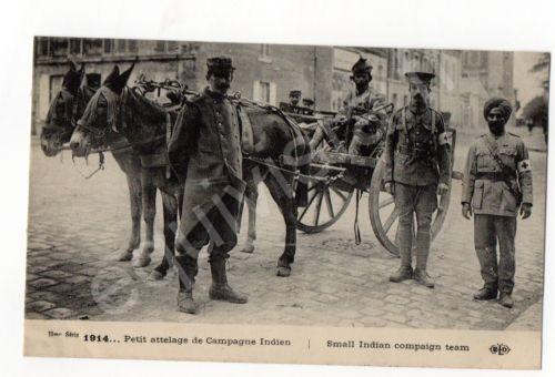 ATTELAGE DE CAMPAGNE INDIEN 1914.jpg