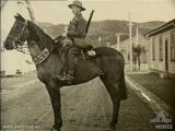 NZ 196-bess-war-horse.jpg