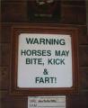 strange-horse-warning-sign.jpg