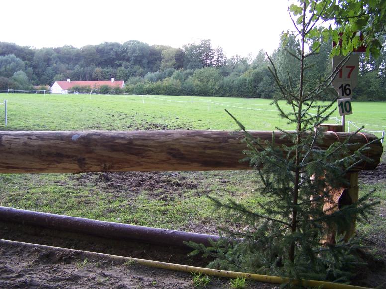 Le N°16: le Trakhener, un tronc en biais sur fossé en sortie de galopade dans les bois