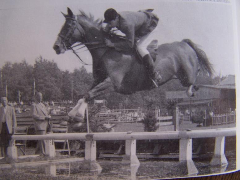 Hongre AA CSIO avec R. Dubuisson, un des meilleurs chevaux de sa génération. Celui-là, ça faisait un moment que j'en cherchais une photo. Une partie de sa famille dans cet album. Souche de gagnants. Fils de Colchique AA. Un cheval qui avait du piquant?  ;-)