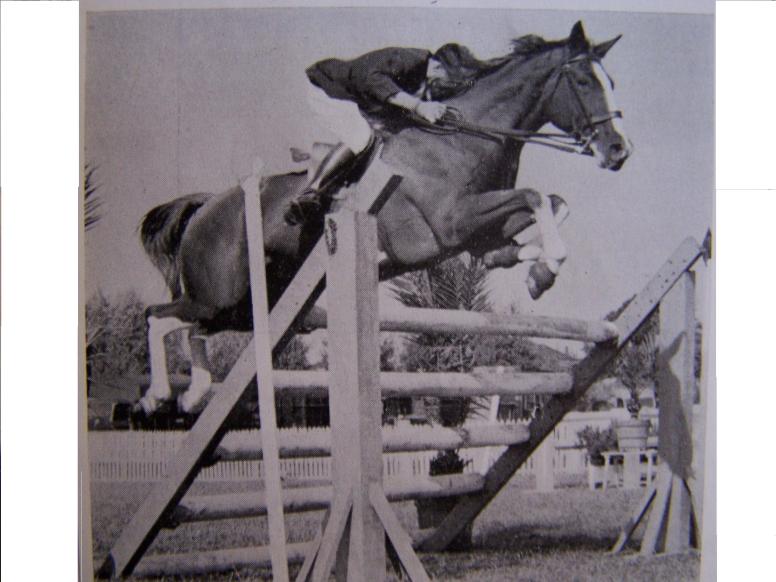 Encore Radis Hongre AA CSIO - 1er des chevaux de CSO par les gains en 1957( devant sa soeur utérine Océane 5ème) - 2ème du classement CSO par les gains en 1958 (Océane 11ème)