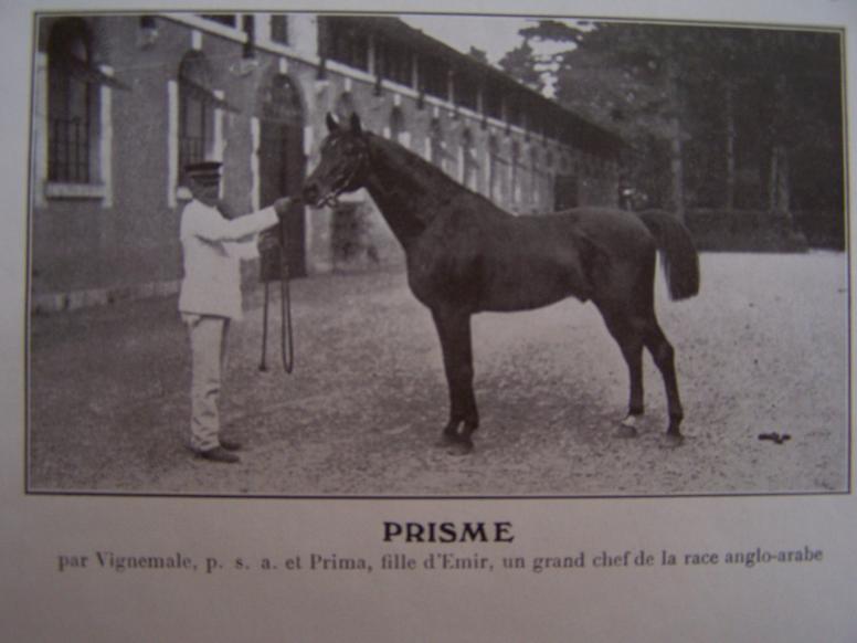 Chef de race AA, Prisme, né en 1890