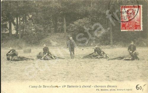 Camp de Beverloo: chevaux dressés