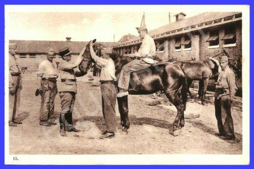 Gonsenheim: revue des chevaux au 19ème Dragon