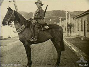 Bess, un des deux seuls chevaux néozélandais, sur 18 000 exportés pour la guerre des boers en Afrique du Sud puis la "drôle" de guerre, qui rentra au pays après la première guerre mondiale. Valeureuse monture du colonel Guy Powles, elle fut choisie et pose ici avec le soldat Mc Kenzie, pour la réalisation d'un monument commémoratif.