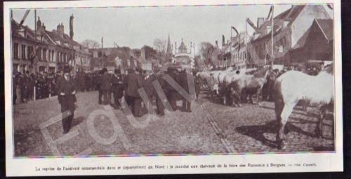 Bergues 1919