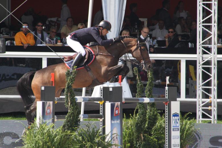 Enjoy Louis BWP par Coriano et harrie Smolders NED - http://www.sporthorse-data.com/db.php?i=11063755&time=1409693916